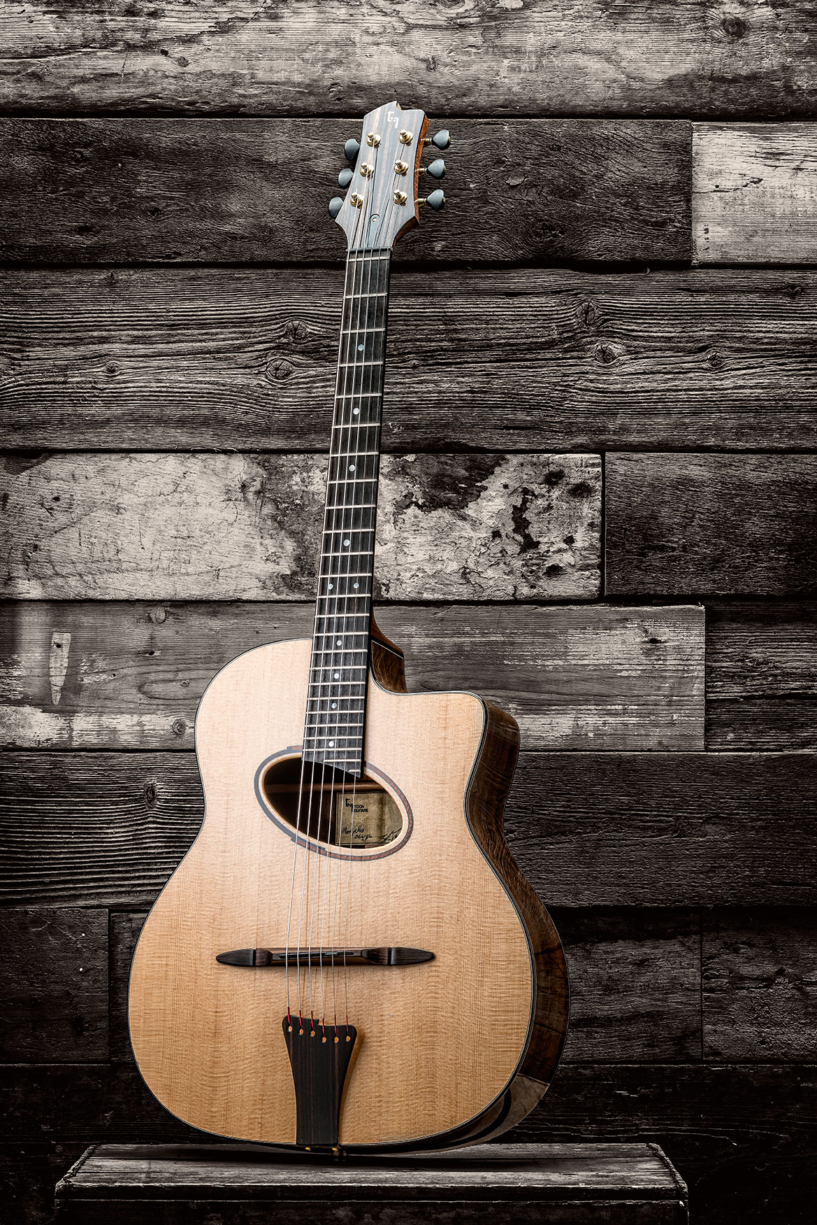 Client: Steve Toon Guitars